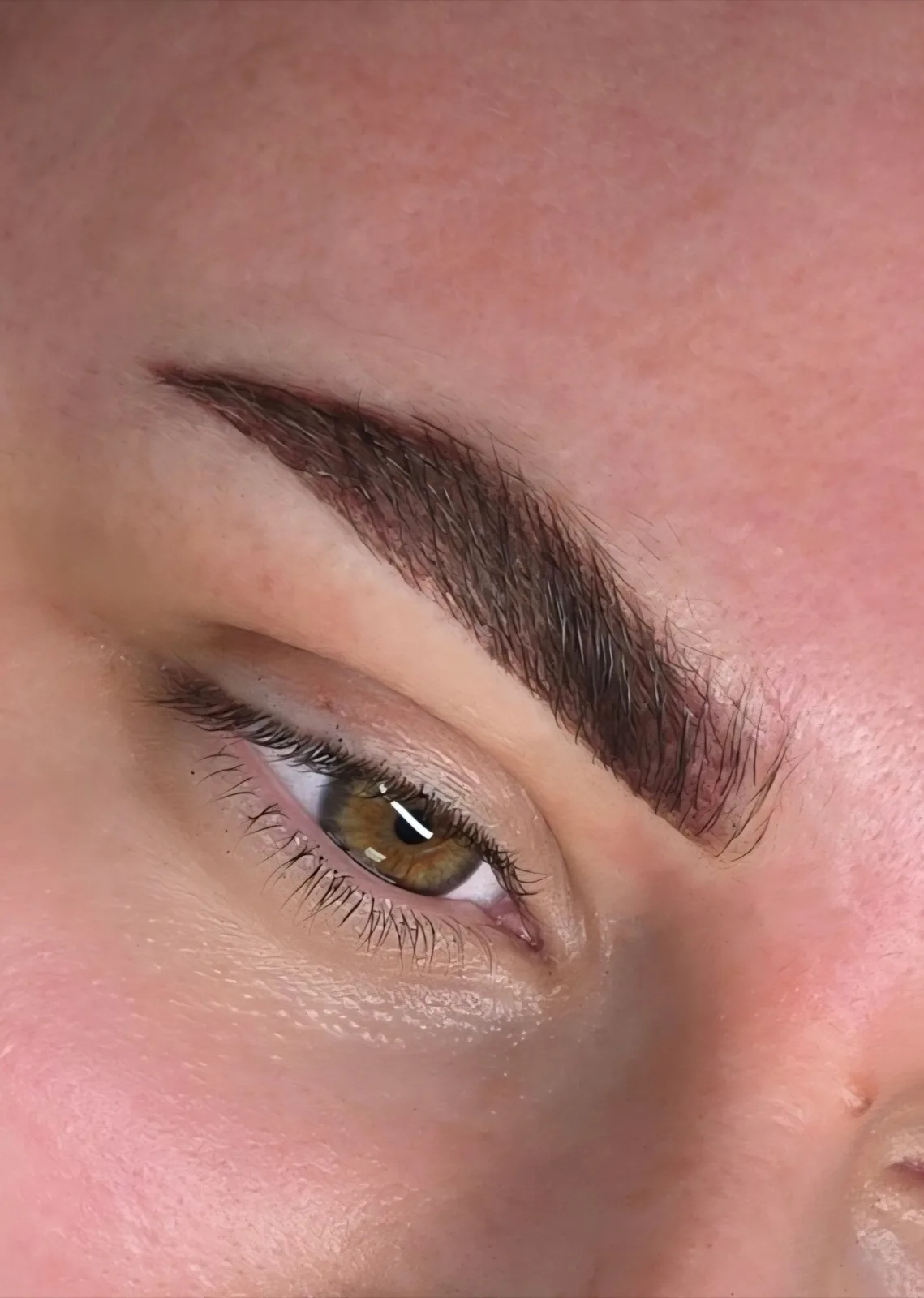 Le Powder Brows
